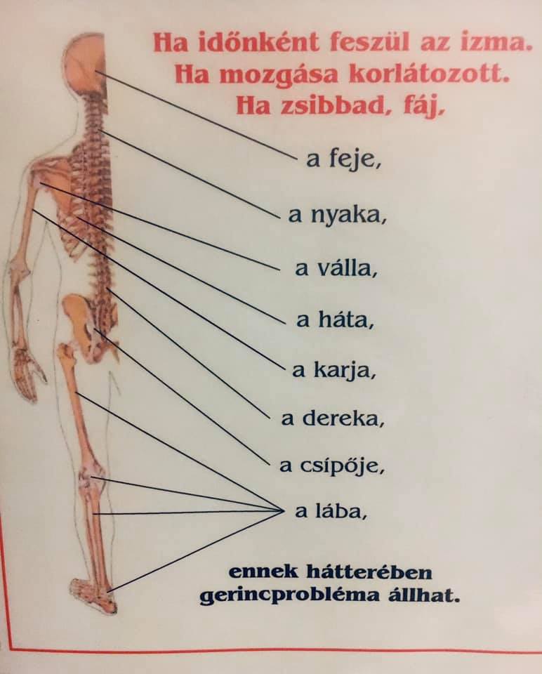 Fotó: Facebook